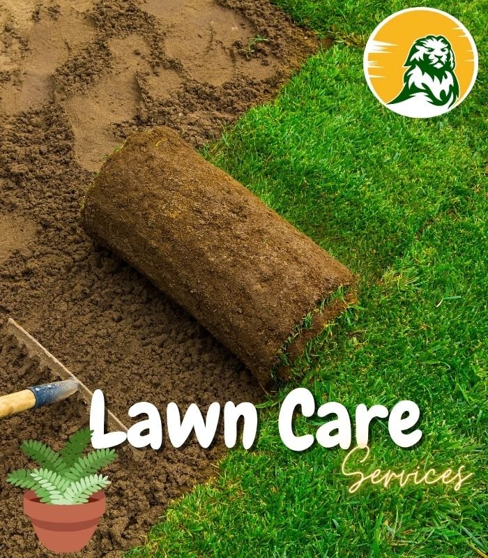 lawn-care-10